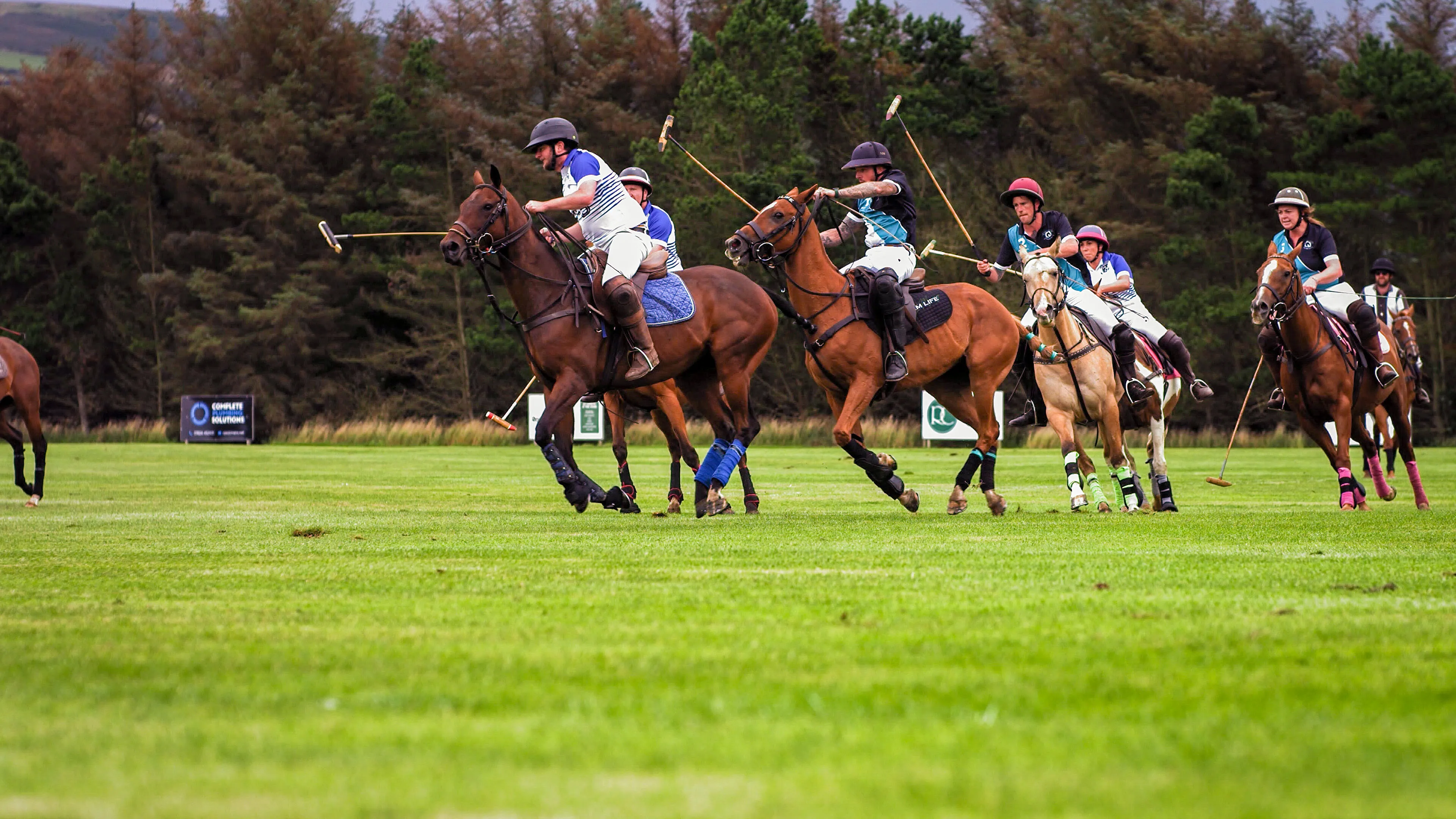 A lively polo match on a grassy field with six players riding horses, swinging mallets. The background features a dense line of trees.